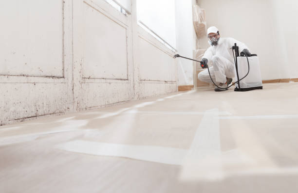 24/7 Emergency Attic Mold Removal experts in Allenhurst, NJ