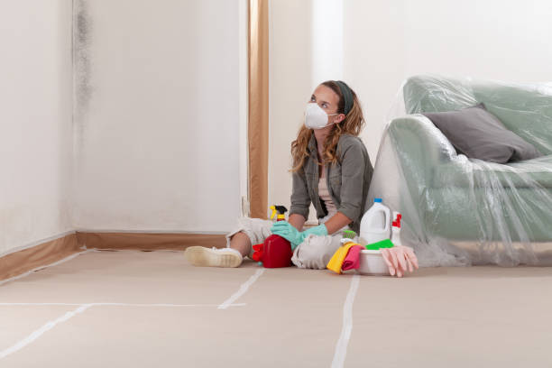 Reliable Attic Mold Removal contractor in Allenhurst, NJ by WQB Mold Removal